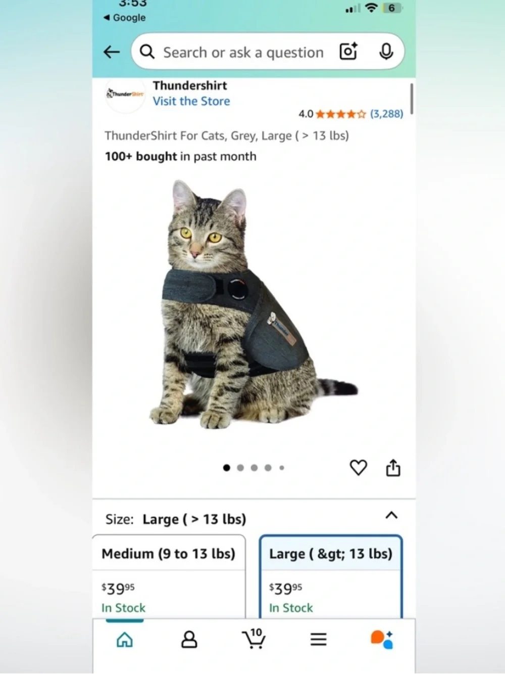 Cat Thunder Shirt